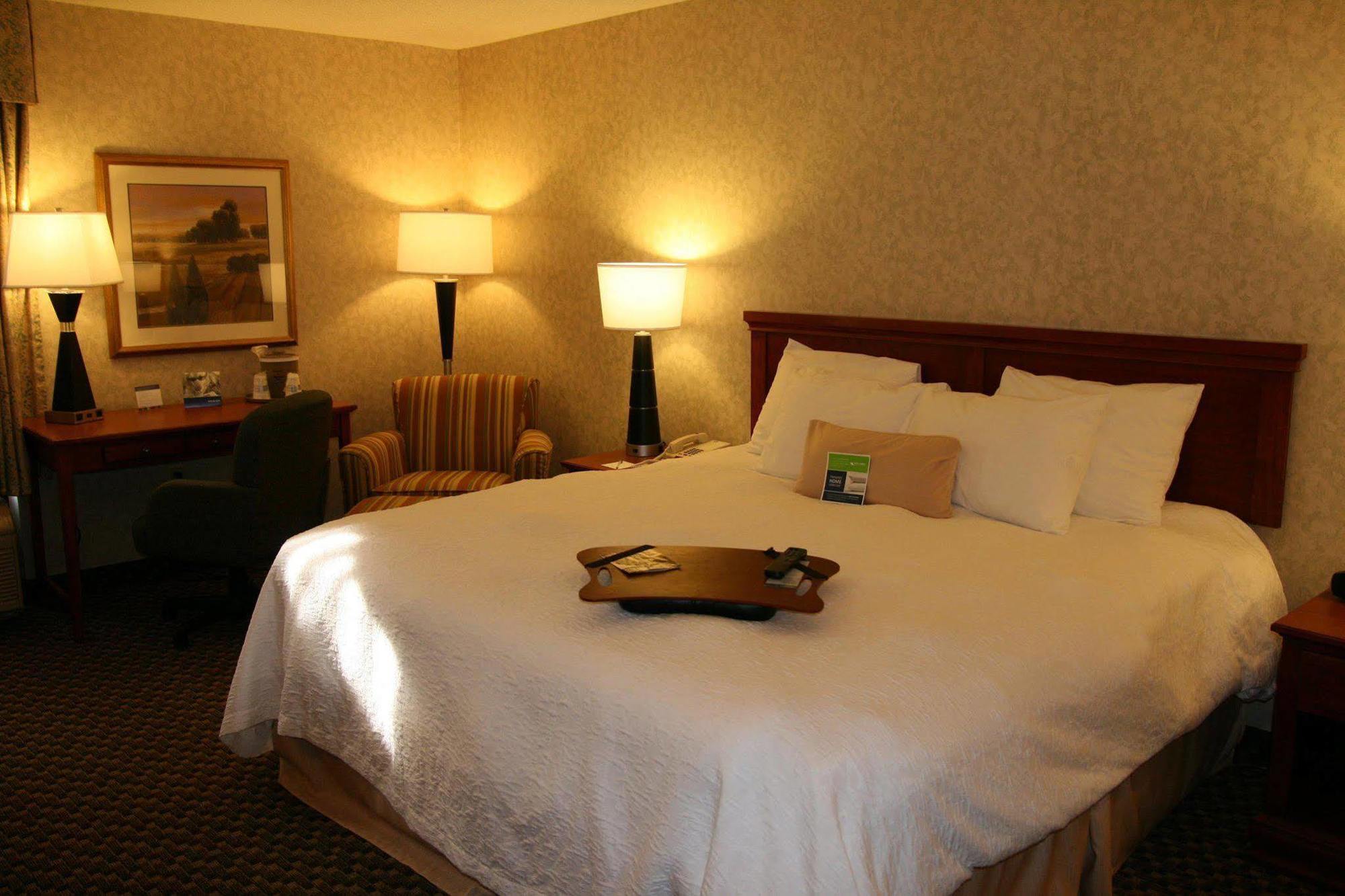 Hampton Inn Dover Room photo